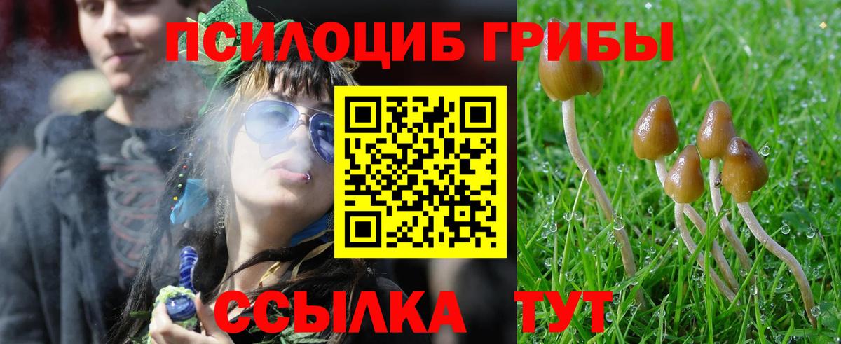 Гусиноозёрск  Галлюциногенные грибы Cubensis  Вход с VPN 