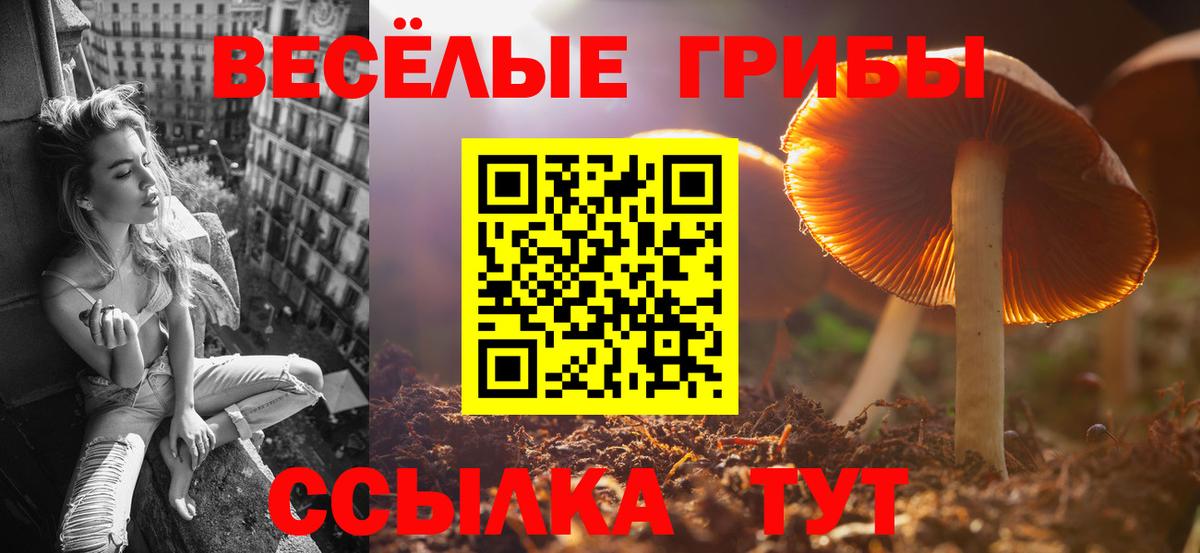 Псилоцибиновые грибы мицелий Гусиноозёрск