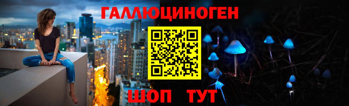 Псилоцибиновые грибы прущие грибы Гусиноозёрск