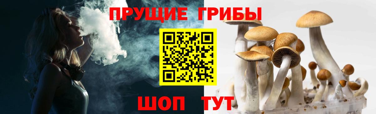 Галлюциногенные грибы прущие грибы  Гусиноозёрск  Галлюциногенные грибы MAGIC MUSHROOMS 