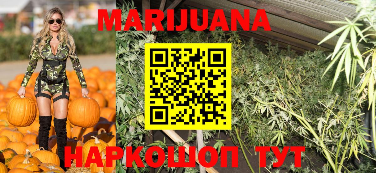 Бошки Шишки сатива Гусиноозёрск
